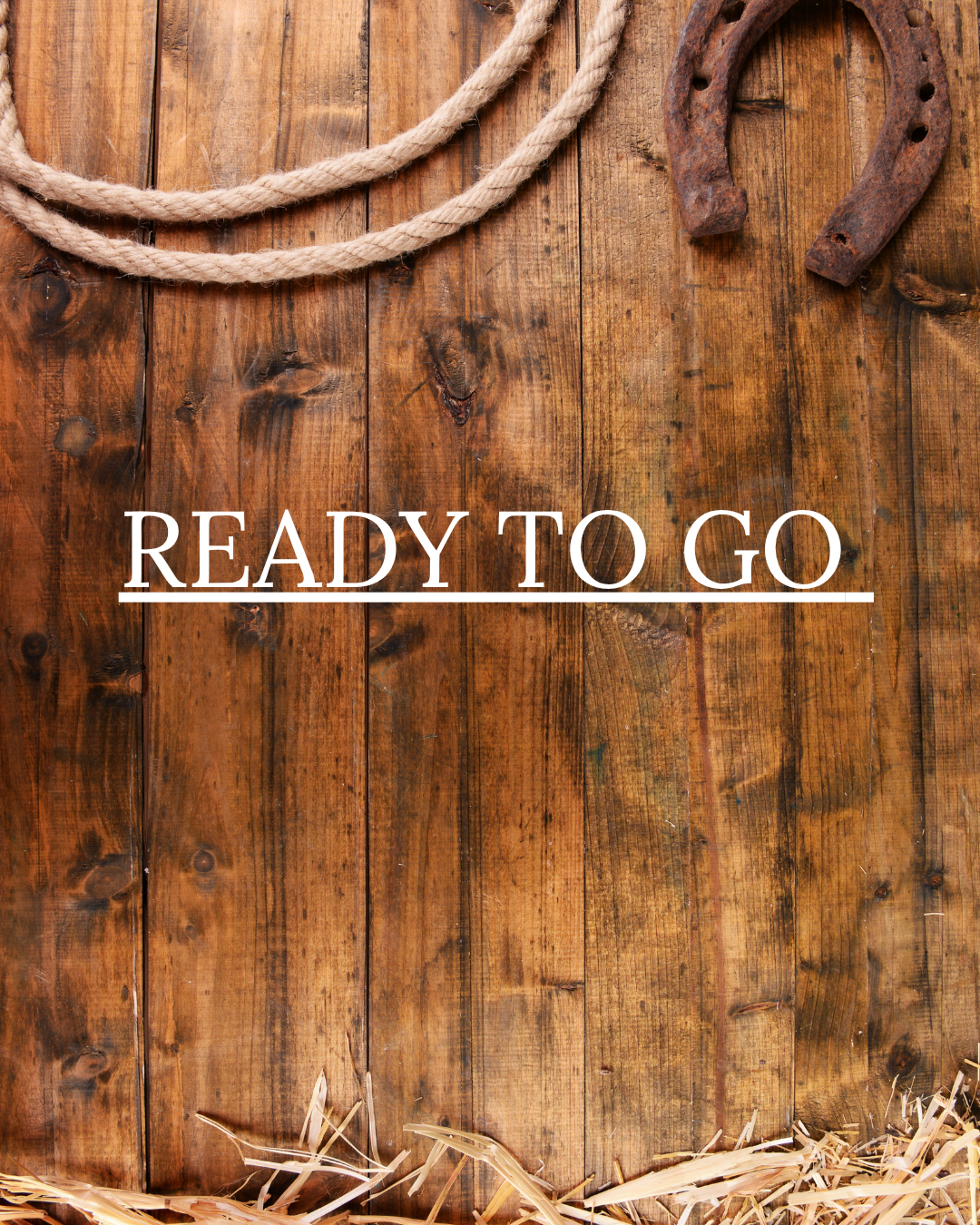 READY TO GO